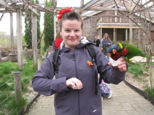 lorikeets