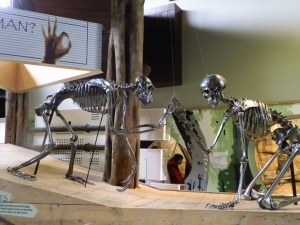 the art of chimp and man the art of chimp and man