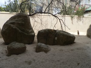 meerkat enclosure