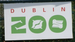 dublin zoo