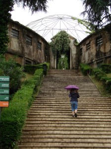 Great Aviary Great Aviary