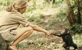 jane goodall