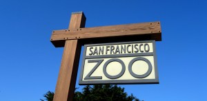 San Francisco Zoo
