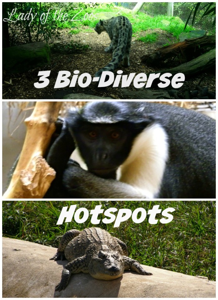 3 Bio-Diverse Hotspots