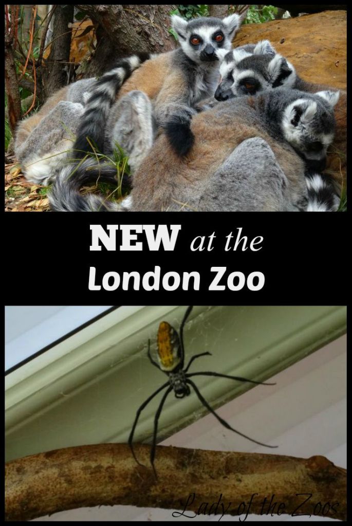 New at the London Zoo