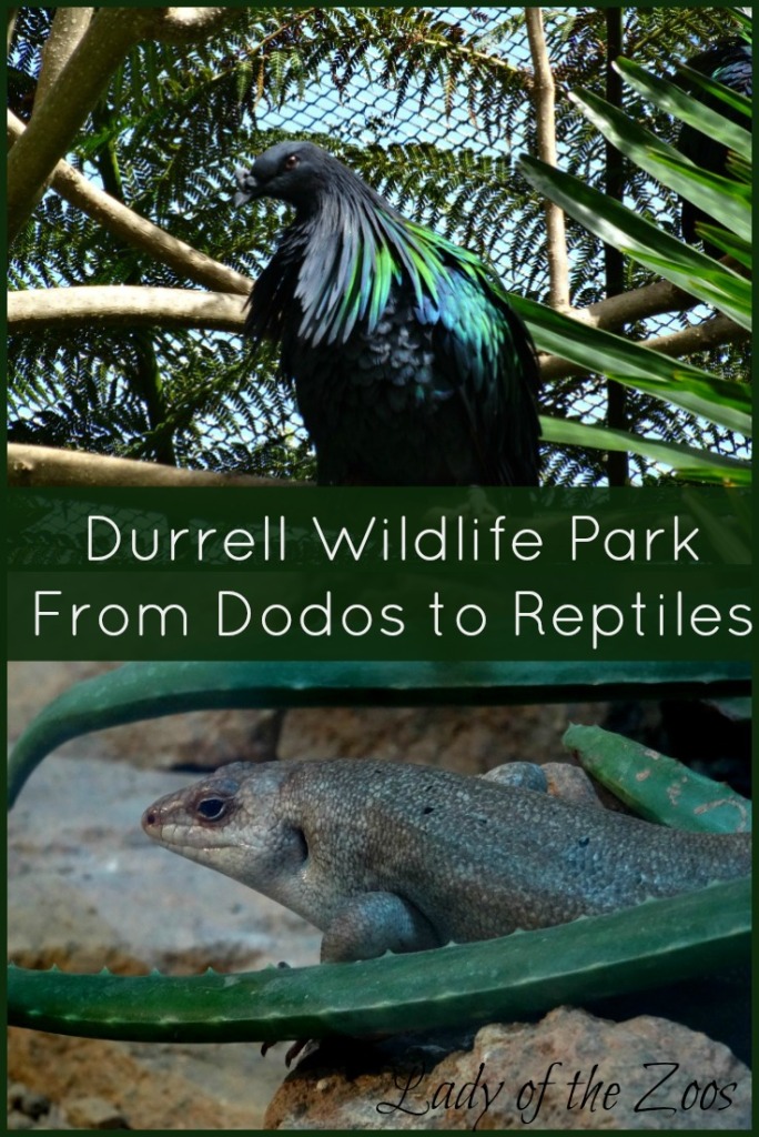 From Dodos to Reptiles