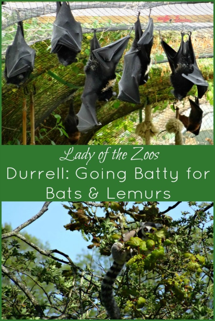 Durrell Wildlife Park