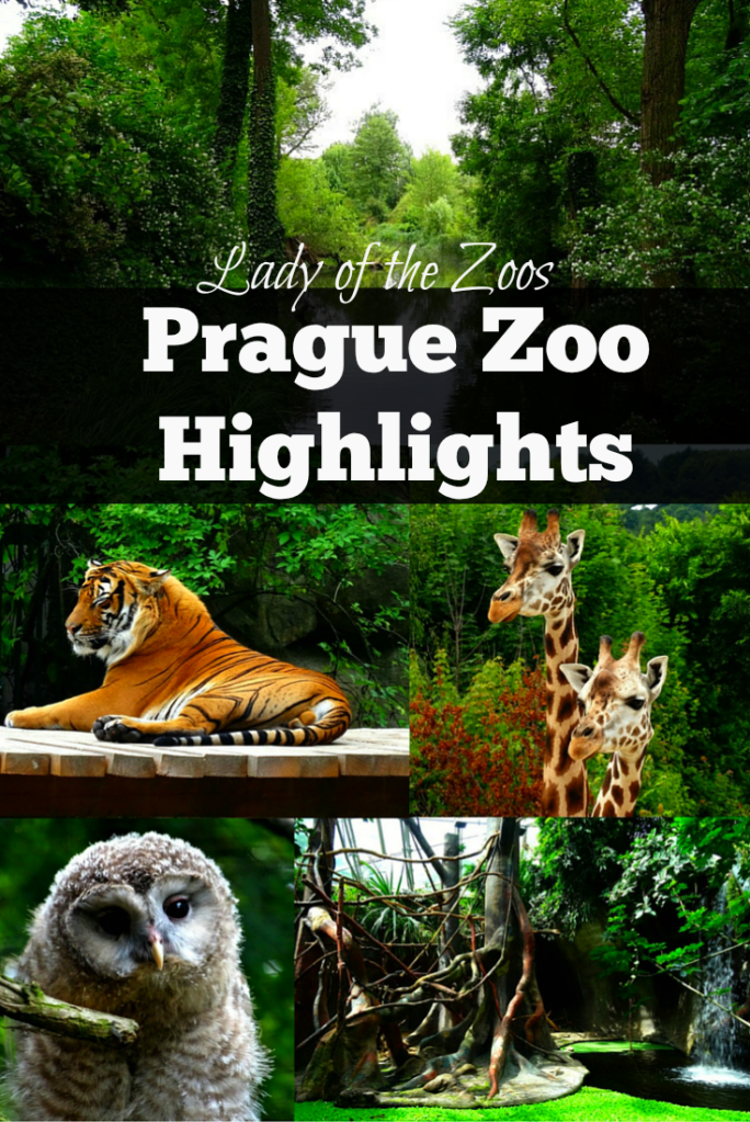 Prague Zoo Highlights